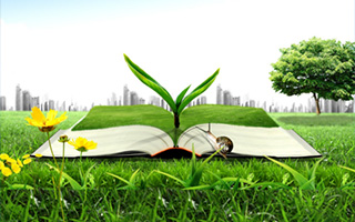 大型麻豆传媒AV三级片廠家